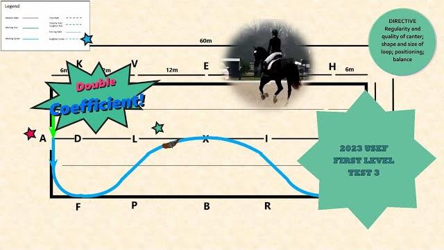 2023 usef first level test 3 2023 usef first level test 3
