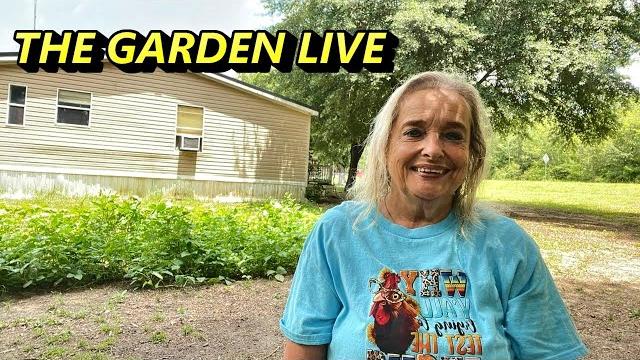 Tammy hodges is live! outside Tammy hodges is live! outside