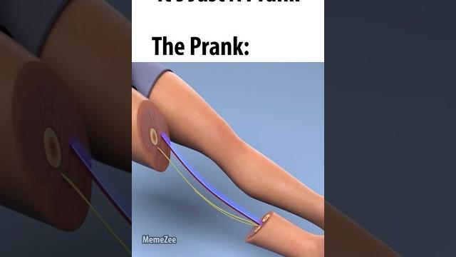 "it's just a prank" "it's just a prank"