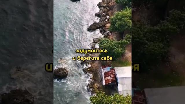 Про зависть. задумайтесь.️ сильные слова со смыслом. мотивация, мудрые мысли. #мотивация #сосмыслом Про зависть. задумайтесь.️ сильные слова со смыслом. мотивация, мудрые мысли. #мотивация #сосмыслом