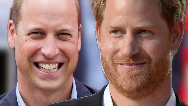 Prince harry insists in interview william ‘wanted me to hit him back’ during alleged fight Prince harry insists in interview william ‘wanted me to hit him back’ during alleged fight