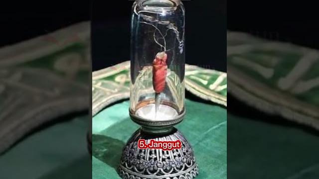 Peninggalan nabi muhammad saw di turki #shorts #shortvideo #kisahnabi #kisahislami #nabimuhammad Peninggalan nabi muhammad saw di turki #shorts #shortvideo #kisahnabi #kisahislami #nabimuhammad