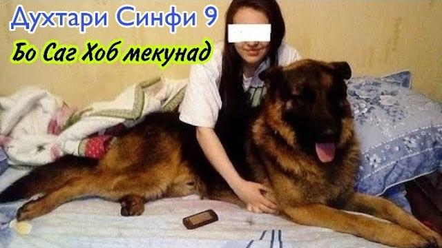 Шармандаги! духтари синфи 9 харруз бо саг зино мекунад Шармандаги! духтари синфи 9 харруз бо саг зино мекунад
