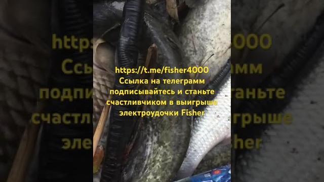Электроудочки электрогоны электросети Электроудочки электрогоны электросети