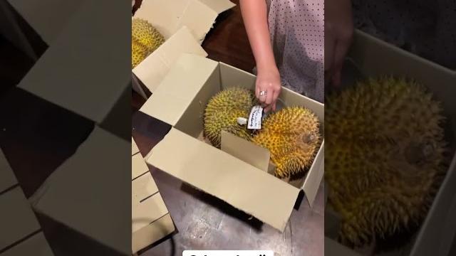 Amanda manopo seksi makan duren #amandamanopo #andin #aryasaloka #aldebaran #ikatancinta Amanda manopo seksi makan duren #amandamanopo #andin #aryasaloka #aldebaran #ikatancinta