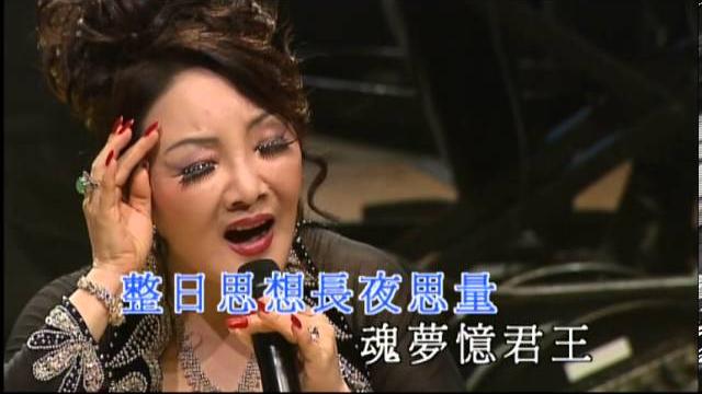 楊燕丨王昭君丨楊燕情繫東方之珠演唱會 楊燕丨王昭君丨楊燕情繫東方之珠演唱會