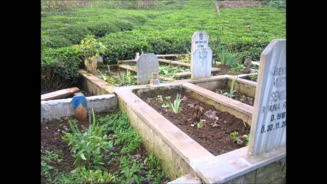 Of bölümlü i̇smail şenocak ve ailesi (horoz) 4 Of bölümlü i̇smail şenocak ve ailesi (horoz) 4