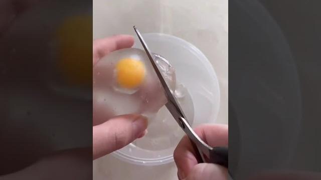 Experiment ancurin stress ball tomat check Experiment ancurin stress ball tomat check