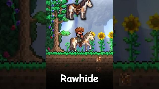 Every pre-hardmode mount in terraria Every pre-hardmode mount in terraria