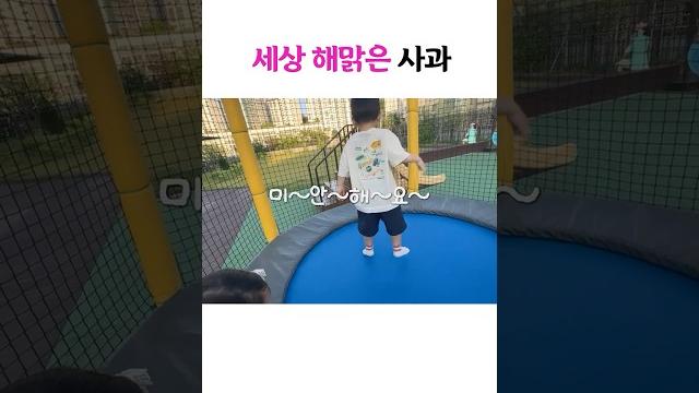 세상 해맑은 사과 세상 해맑은 사과