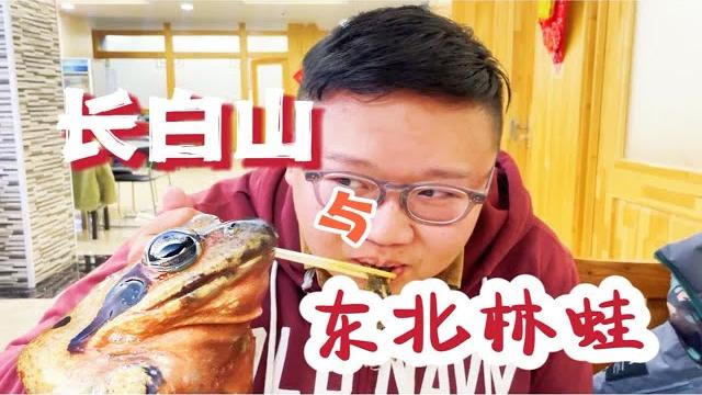 本来是长白山攻略,现在成了沉浸式吃蛤蟆。想吃林蛙,雪蛤,哈士蟆的看这里! 本来是长白山攻略,现在成了沉浸式吃蛤蟆。想吃林蛙,雪蛤,哈士蟆的看这里!