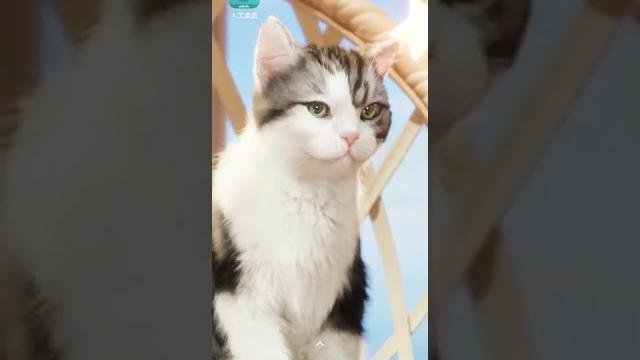 特殊页面,秋水翻唱骚气《青媚狐》 特殊页面,秋水翻唱骚气《青媚狐》