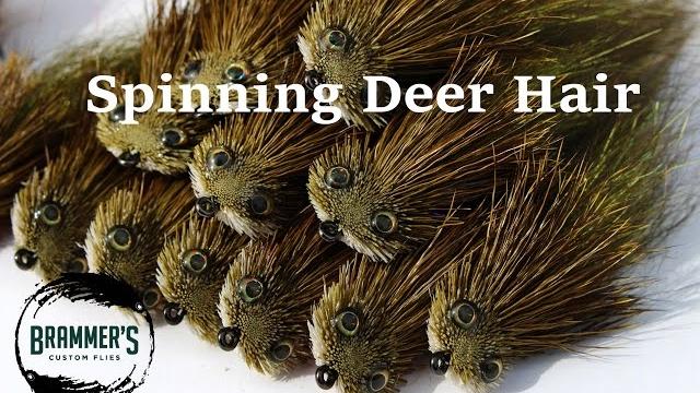 Fly tying: spinning deer hair - tips and techniques Fly tying: spinning deer hair - tips and techniques