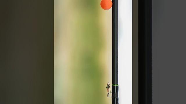 Easy beginner nymph rig setup for fly fishing Easy beginner nymph rig setup for fly fishing