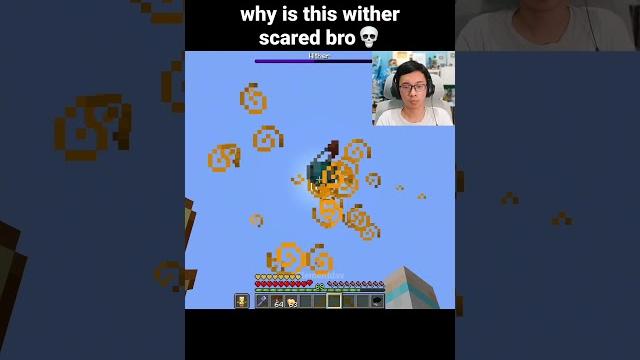 Minecraft wither moment Minecraft wither moment