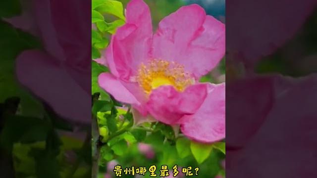 2025年5月21日 2025年5月21日