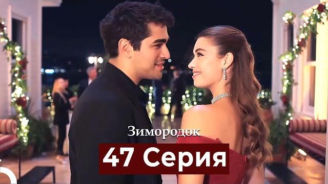 Зимородок 47 cерия (русский дубляж) Зимородок 47 cерия (русский дубляж)