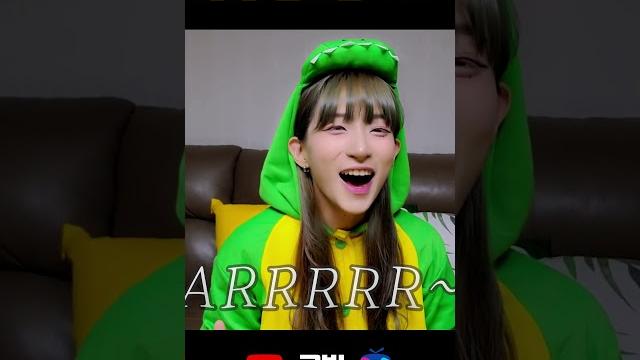 방송견 2년이면 리액션을 한다 #shorts 방송견 2년이면 리액션을 한다 #shorts