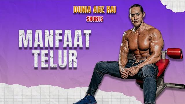 Manfaat telur Manfaat telur