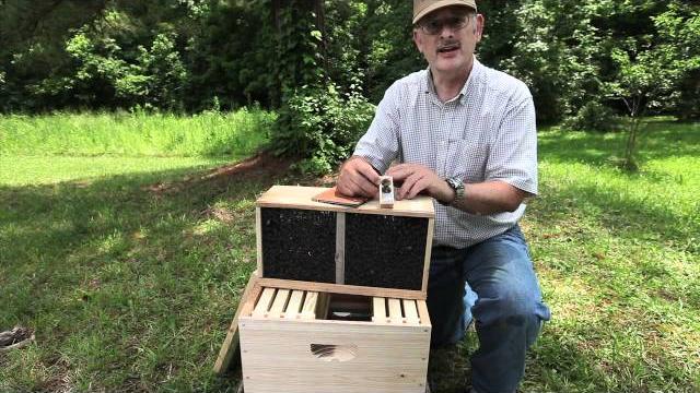 How to install a bee package How to install a bee package