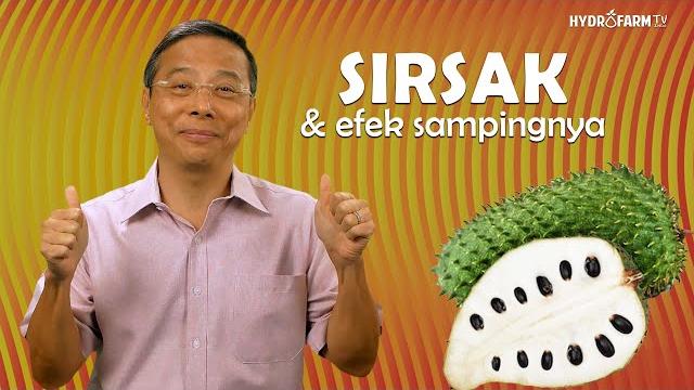 Sirsak & efek sampingnya !! Sirsak & efek sampingnya !!
