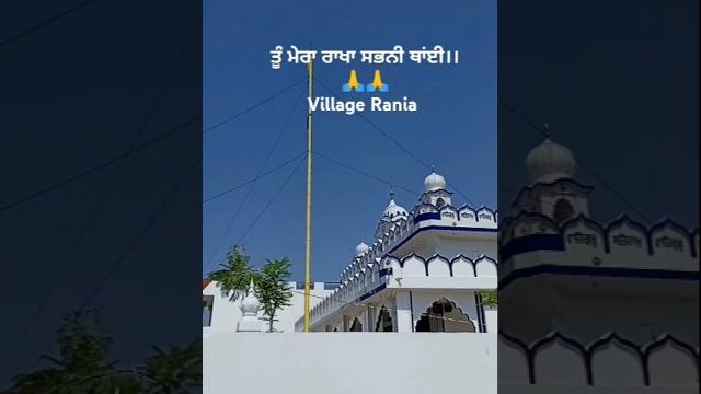Jaswinder singh khalsa rania #satnamwaheguru #rania #gurunanakdevji#gurduarasahib#satsireakal Jaswinder singh khalsa rania #satnamwaheguru #rania #gurunanakdevji#gurduarasahib#satsireakal