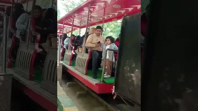 #lucknow chidiyaghar# kabhi ghumne aana bahut achcha#bagh chita# shuturmurg#lucknow bahut# #lucknow chidiyaghar# kabhi ghumne aana bahut achcha#bagh chita# shuturmurg#lucknow bahut#