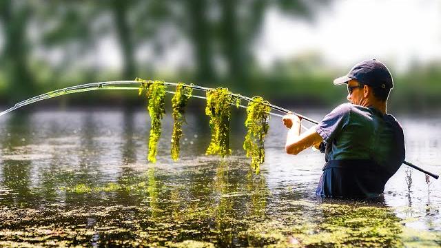 Discovering the lost river - a carp fishing film Discovering the lost river - a carp fishing film