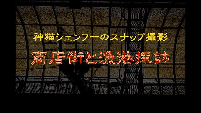 神猫シェンフーのスナップ撮影 商店街,堺漁港探訪 神猫シェンフーのスナップ撮影 商店街,堺漁港探訪