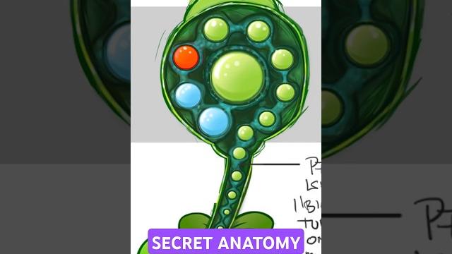 Peashooter's disturbing anatomy... #pvz #pvz2 #plantsvszombies Peashooter's disturbing anatomy... #pvz #pvz2 #plantsvszombies