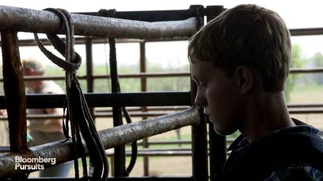 Bull-riding school: learning how to ride a wild bull Bull-riding school: learning how to ride a wild bull