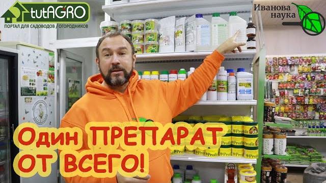 От черной ножки, фитофторы, ржавчины и... слизней - один единственный препарат! один на все случаи! От черной ножки, фитофторы, ржавчины и... слизней - один единственный препарат! один на все случаи!