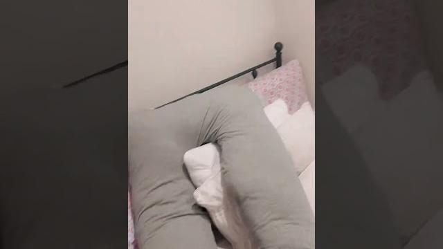 Love my pregnancy pillow! Love my pregnancy pillow!