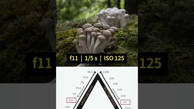 How does shutter speed work with aperture? How does shutter speed work with aperture?