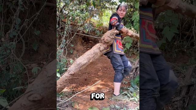 Processing kudzu root Processing kudzu root