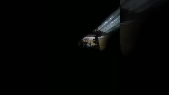 Есегй Есегй