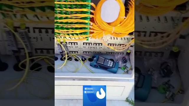Что у них там происходит?! Что у них там происходит?!