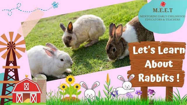 Let's learn about rabbits! preschool learning videos for kids l cute bunny rabbit videos Let's learn about rabbits! preschool learning videos for kids l cute bunny rabbit videos