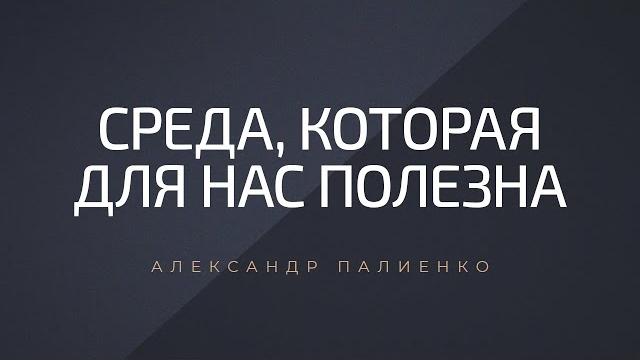 Среда, которая для нас полезна. александр палиенко. Среда, которая для нас полезна. александр палиенко.