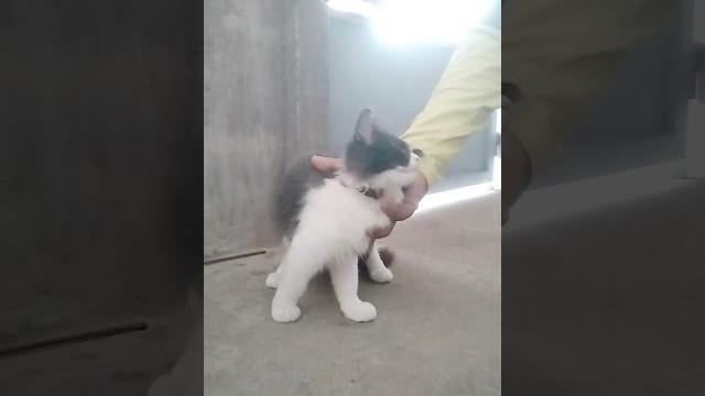 Chloe pussy Chloe pussy