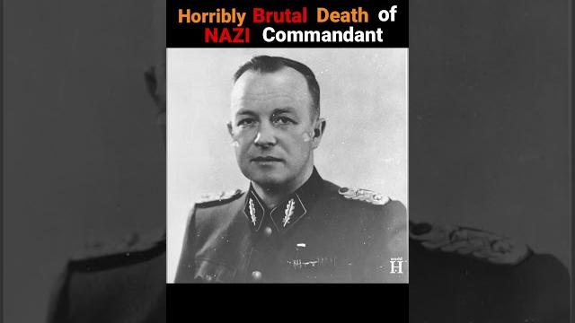 Horrible death of franz ziereis - nazi commandant of mauthausen & gusen concentration camps #shorts Horrible death of franz ziereis - nazi commandant of mauthausen & gusen concentration camps #shorts