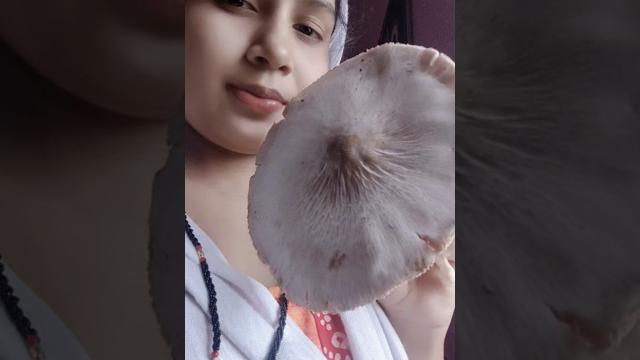 Bidesi khojuchi desi bohu, mashroom fry #shortsfeed #shorts #recipe #odia #song #cooking #ytshorts Bidesi khojuchi desi bohu, mashroom fry #shortsfeed #shorts #recipe #odia #song #cooking #ytshorts