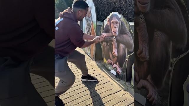 Humans vs. animals strength test Humans vs. animals strength test