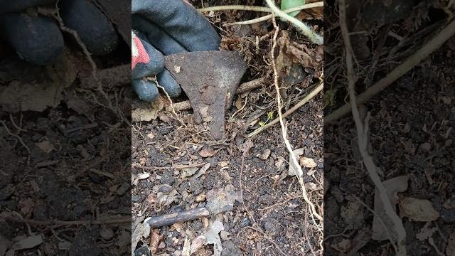 Что пролежало 1000 лет в корнях? нашел топор сына кузнеца!!! лесной коп с металлоискателем. Что пролежало 1000 лет в корнях? нашел топор сына кузнеца!!! лесной коп с металлоискателем.