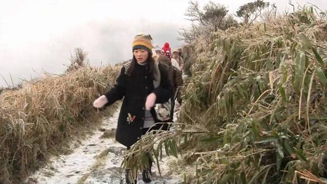 2011/01/16陽明山下雪了! 2011/01/16陽明山下雪了!