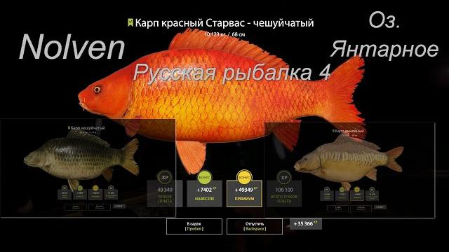Русская рыбалка 4\озеро янтарное\карп линейный\карп чешуйчатый\карп красный старвас-чешуйчатый\фарм Русская рыбалка 4\озеро янтарное\карп линейный\карп чешуйчатый\карп красный старвас-чешуйчатый\фарм