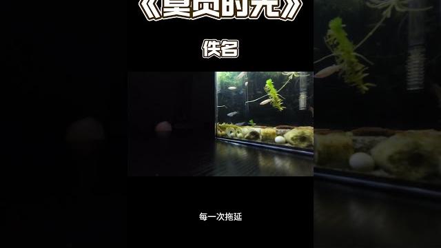 莫负时光 佚名 莫负时光 佚名