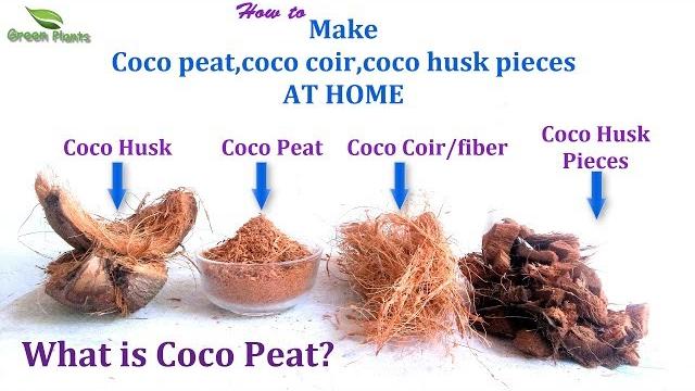 What is coco peat? & how to make coco peat at home quick&easy way | best growing media//green plants What is coco peat? & how to make coco peat at home quick&easy way | best growing media//green plants
