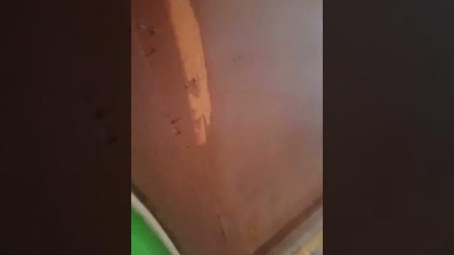 Istri selingkuh sedang wik-wik di grebek suami #viral #trandingnow #tranding #trandingshorts Istri selingkuh sedang wik-wik di grebek suami #viral #trandingnow #tranding #trandingshorts