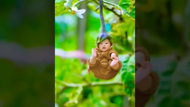 Bayi lucu gemas imut #cute #babycute #baby #bayilucu #bayi #bayigemes #bayiimut #bayipintar Bayi lucu gemas imut #cute #babycute #baby #bayilucu #bayi #bayigemes #bayiimut #bayipintar